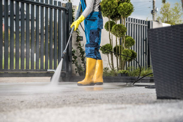 Best Roof Pressure Washing  in Pho, IL
