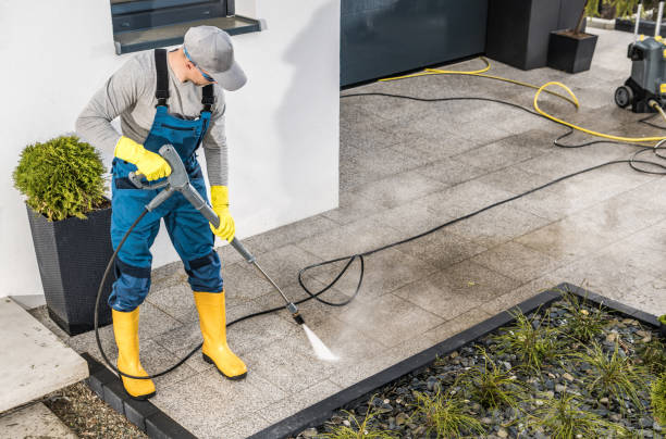 Best Deck Cleaning Services  in Pho, IL