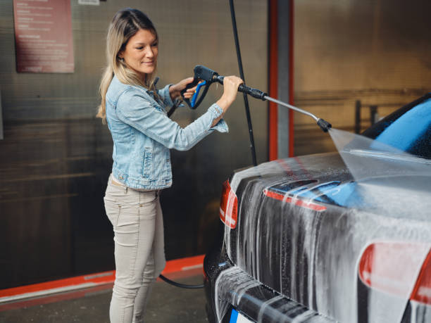 Best House Pressure Washing  in Pho, IL